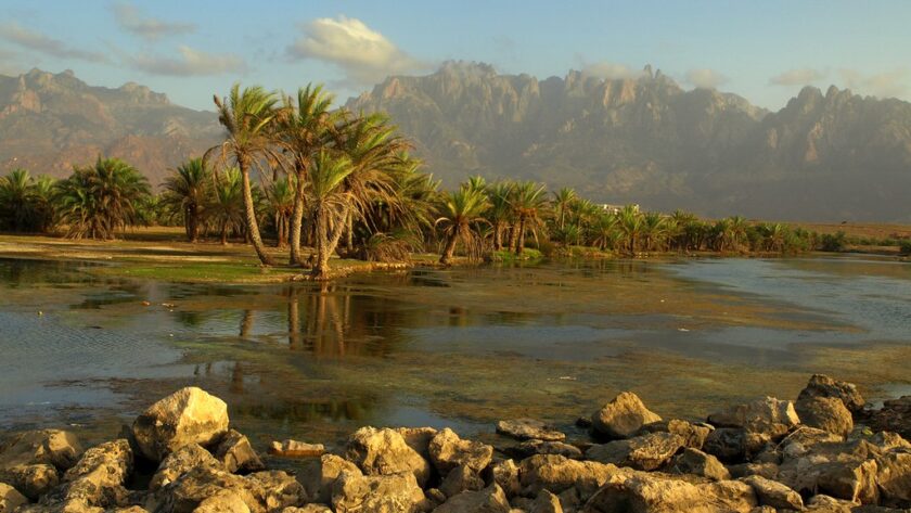 Est-il trop tard pour sauver Socotra ?